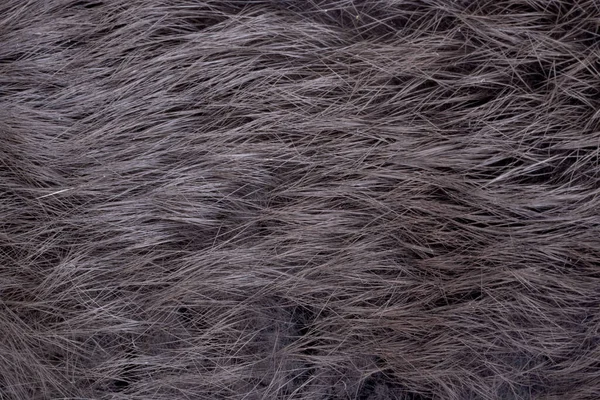 Background Black Rabbit Fur Closeup — Stock Photo, Image