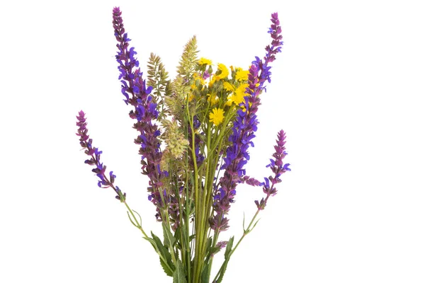 Bouquet Fleurs Prairie Isolé Sur Fond Blanc — Photo