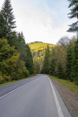 Karpatlar 'da manzara yolu