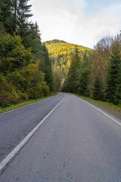 Landscape Road Carpathians — Stock Photo, Image