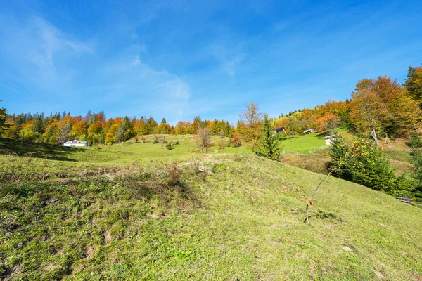 Paisaje Otoñal Los Cárpatos Día Soleado — Foto de Stock