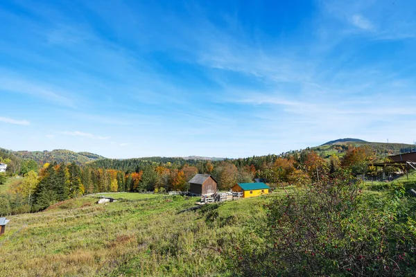 Jesienny Krajobraz Karpat Słoneczny Dzień — Zdjęcie stockowe