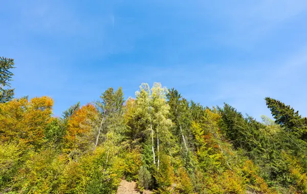 在阳光灿烂的日子里喀尔巴阡山的秋天风景 — 图库照片