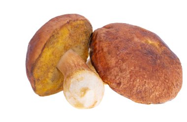 Beyaz arka plan üzerinde izole ceps