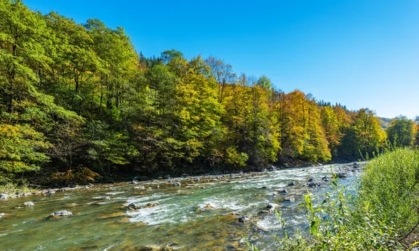 Paesaggio Autunnale Dei Carpazi Una Giornata Sole — Foto Stock