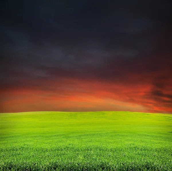 Zonsondergang en zomer avond veld — Stockfoto