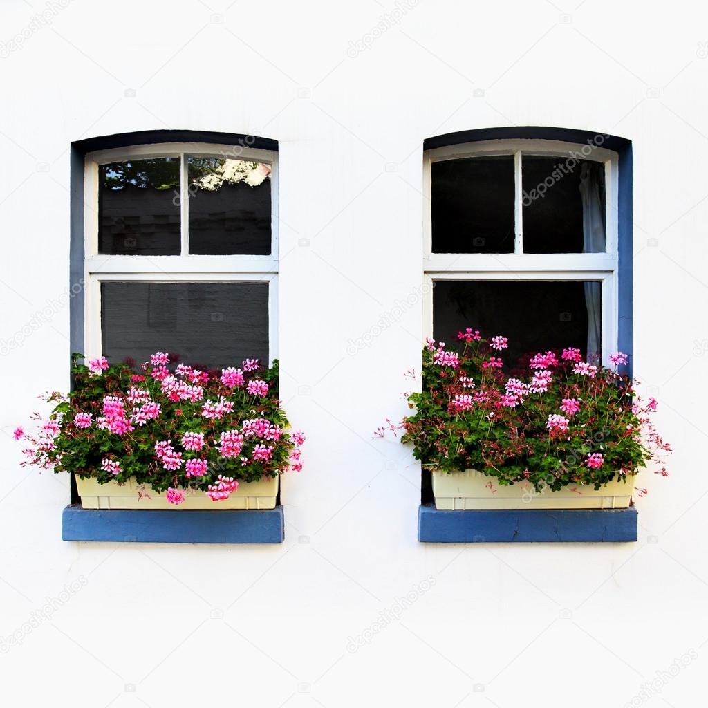 Windows with flowers — Stock Photo © Zoooom 13863496