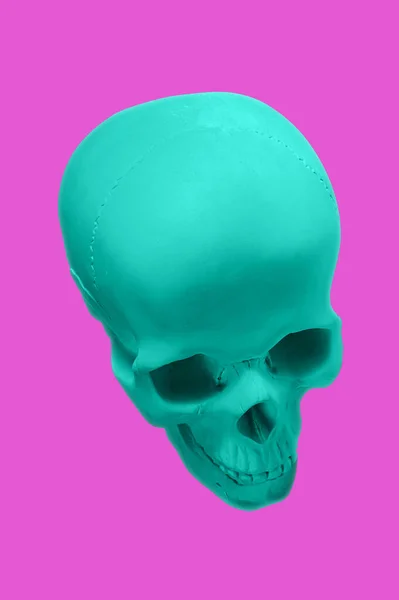Crâne humain de gypse vert sur fond rose isolé avec chemin de coupe. Modèle de crâne en plâtre pour les étudiants des écoles d'art. Concept d'enseignement des sciences judiciaires, de l'anatomie et de l'art. Maquette pour dessin — Photo