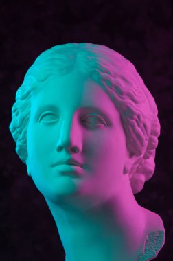 Venus de Milo 'nun antik heykelinin renkli alçıtaşı kopyası koyu dokulu arka plandaki sanatçılar için. Alçı heykel kadın yüzü. Mor renkli sanat posteri ve yeşil parlak renkler. Aşk, güzellik, feminizm