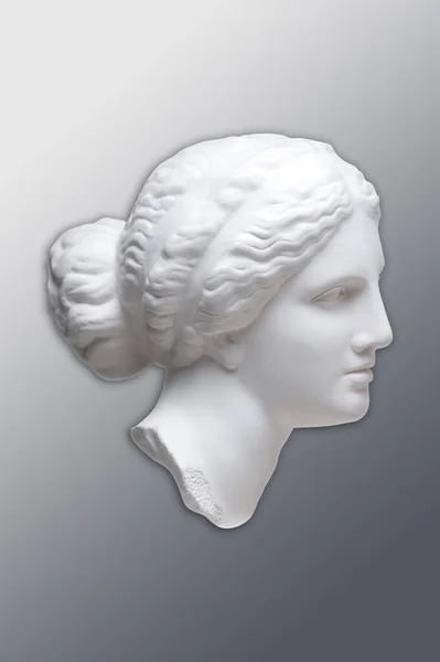 灰色の背景に芸術家のためのヴィーナス・デ・ミロの古代の像の白い石膏のコピー。女性の顔の石膏彫刻。黒と白の色で現代のポスターをアート。愛、美、フェミニズム. — ストック写真