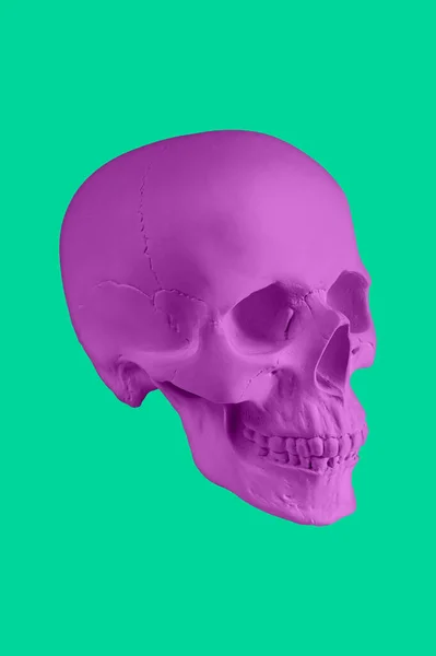 Purple gypsum human skull on isolated green background with clipping path. Plaster sample model skull for students art schools. Forensic science, anatomy and art education concept. Mockup for drawing. — Stock Photo, Image