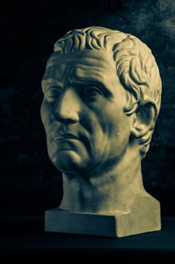 Bronz renkli alçıtaşı Guy Julius Caesar Octavian Augustus 'un antik heykelinin koyu dokulu arka plandaki sanatçılar için bir kopyası. Rönesans dönemi. İnsan yüzünün alçı heykeli. Sanat tasarımı için şablon.