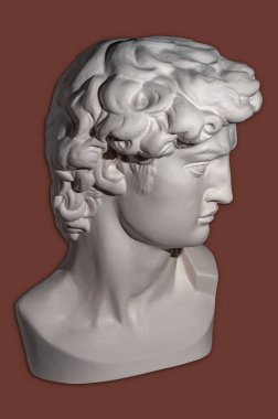 David 'in ünlü heykelinin kopyası Michelangelo' nun dev Goliath 'la yapacağı savaşa odaklandı. Sanatçılar için kafa heykeli David 'in alçıtaşı kopyası. DJ, moda, poster, zine için şablon tasarımı.