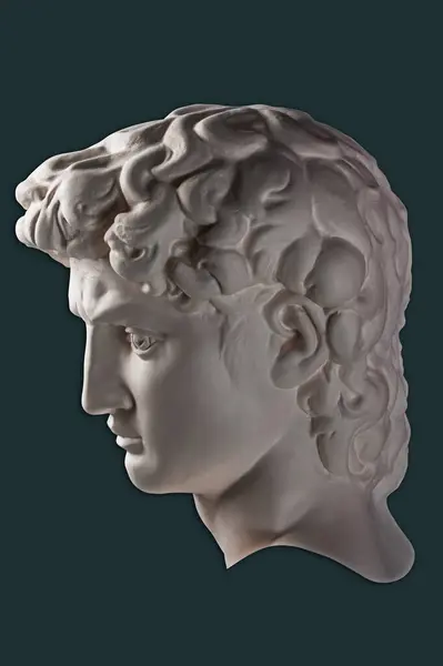 デイヴィッドの有名な彫刻の若者のコピーは ミケランジェロによる巨大なゴリアテとの今後の戦いに焦点を当てました アーティストのためのヘッド像デイヴィッドのギプスムコピー ファッション ポスター ジンのためのデザインを検討する ロイヤリティフリーのストック写真