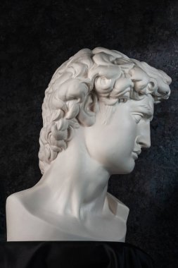 Michelangelo 'dan David' in ünlü antik heykelinin kopyası. Esmer arka plandaki sanatçılar için baş heykelinin bronz renkli alçıtaşı kopyası. Sanat, DJ, moda, poster tasarımı.