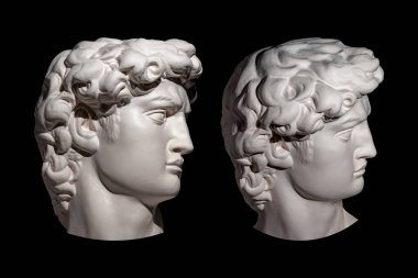 Michelangelo 'dan David' in ünlü antik heykelinin kopyası. Esmer arka plandaki sanatçılar için iki adet kafa heykeli David. Sanat için şablon tasarımı, DJ, moda, poster. Profil.