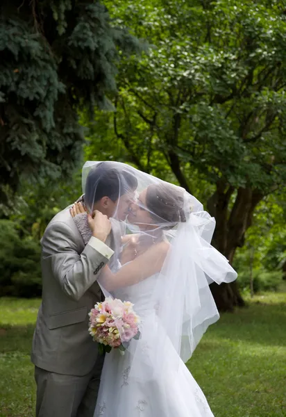 Nevěsta a ženich Stock Fotografie