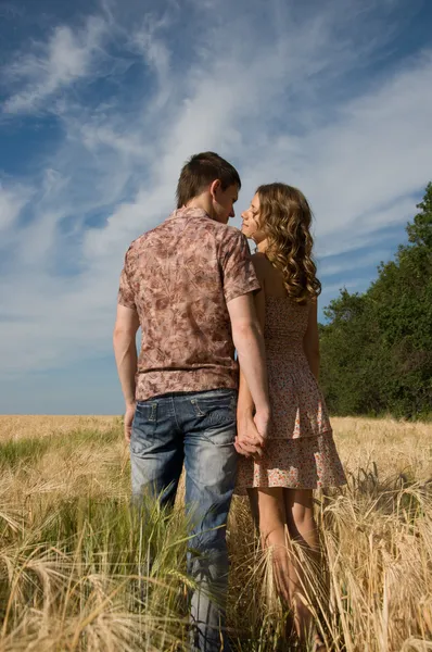 Loving couple holding hands and walking on wheat field — Stock Photo, Image