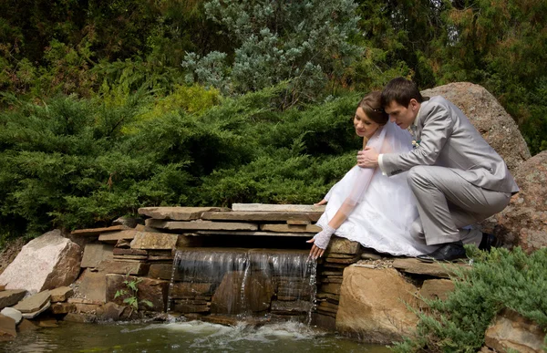 Bride and groom — Stock Photo, Image