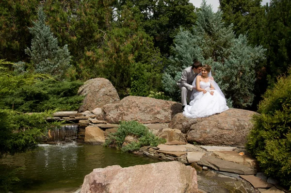 Свадебные пары вблизи фонтан Imagens De, Abq Garden Center Weddings