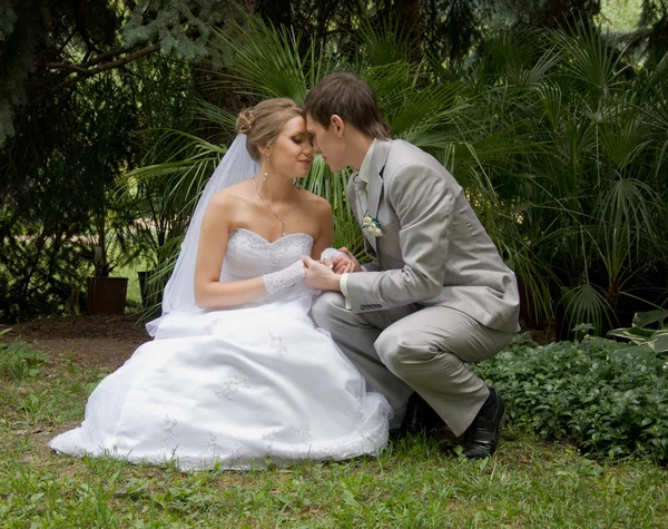 Sposa e sposo in un parco — Foto Stock