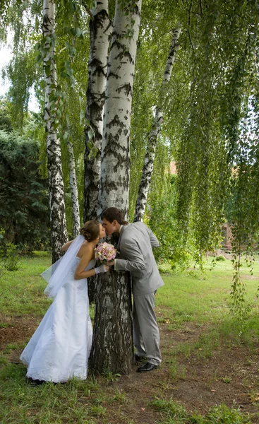 Braut und Bräutigam spazieren im Park — Stockfoto