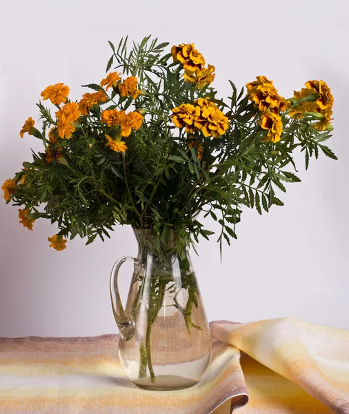 Marigold på ett bord — Stockfoto