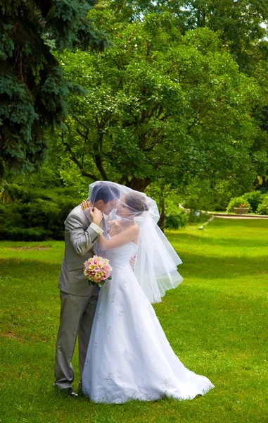 Bride and groom in park — Stock Photo, Image