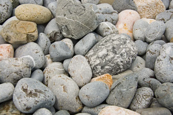 Pedra de seixo — Fotografia de Stock