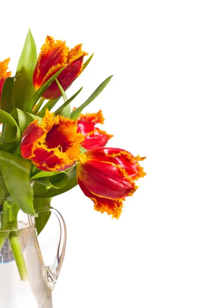 Bukiet czerwonych tulipanów — Zdjęcie stockowe