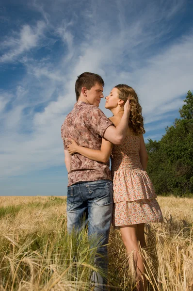 Amante casal beijando no campo de trigo — Fotografia de Stock