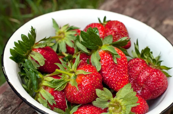 Aardbeien — Stockfoto