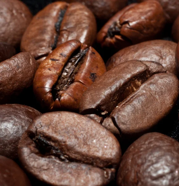 Coffee — Stock Photo, Image