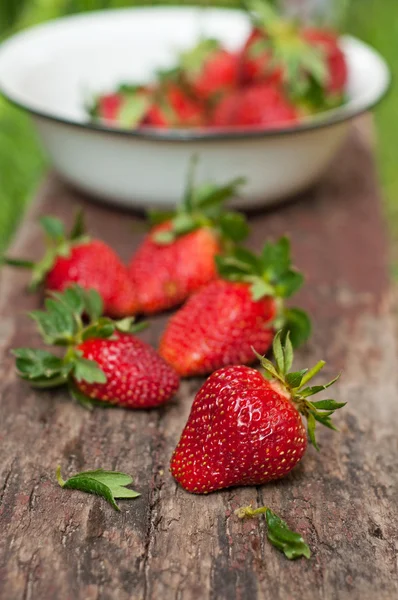 Aardbeien — Stockfoto