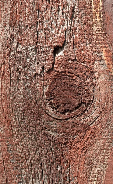 老木木材纹理 — 图库照片