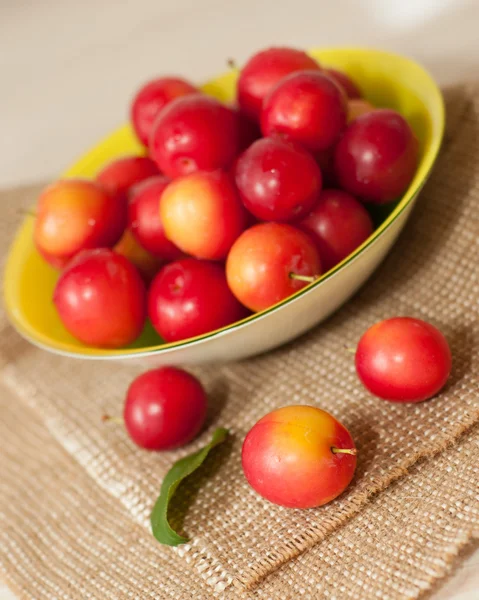 Susine di ciliegie — Foto Stock