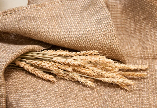 El trigo sobre la arpillera —  Fotos de Stock