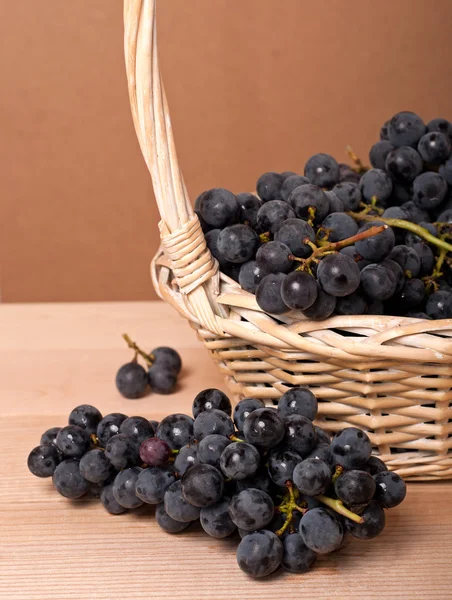 Uvas de vinificación — Foto de Stock