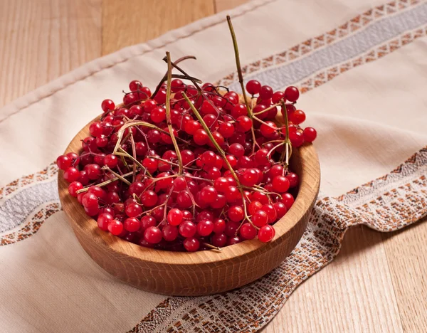 Viburnum berries — Stockfoto