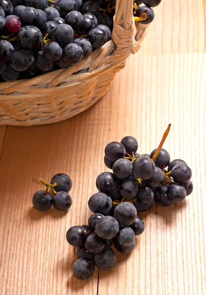 Uvas de vinho — Fotografia de Stock