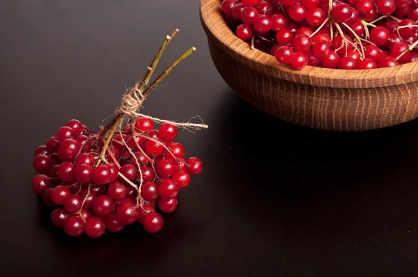 Bayas de Viburnum — Foto de Stock