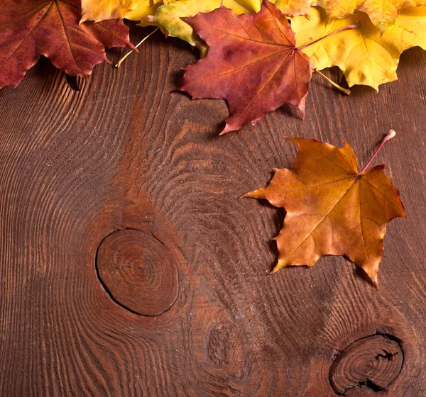 Herbstblätter — Stockfoto