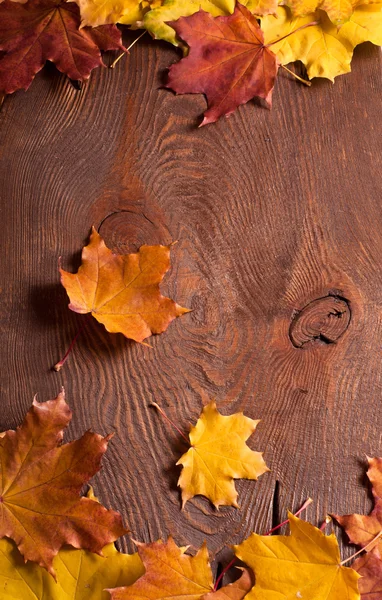 Autumn background — Stock Photo, Image