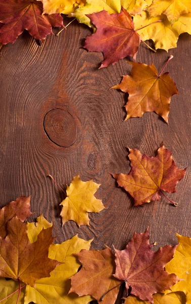 Quadro de outono — Fotografia de Stock