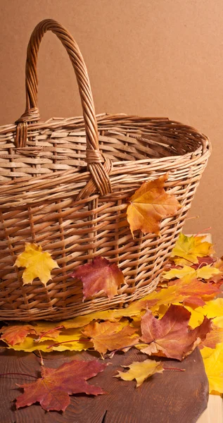 Podzimní listí a košík — Stock fotografie
