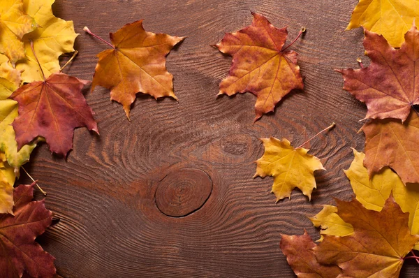 Autumn leaves — Stock Photo, Image