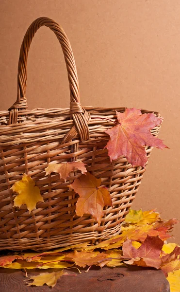 Panier d'automne — Photo