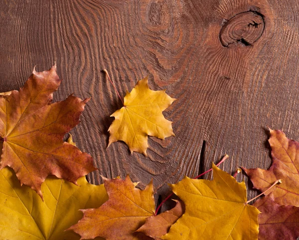 Hintergrund Herbst — Stockfoto