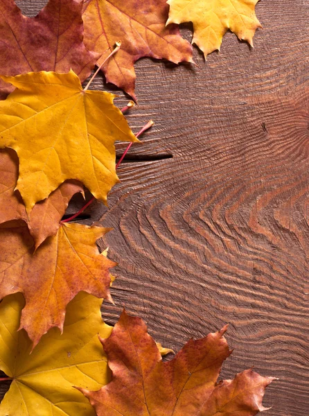 Autumn border — Stock Photo, Image