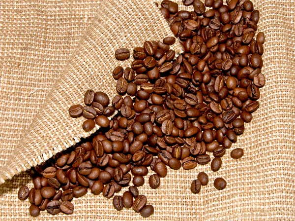 Coffee beans — Stock Photo, Image